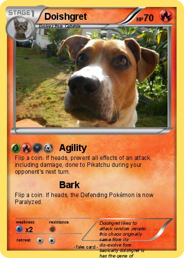 Pokemon Doishgret