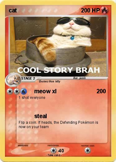 Pokemon cat