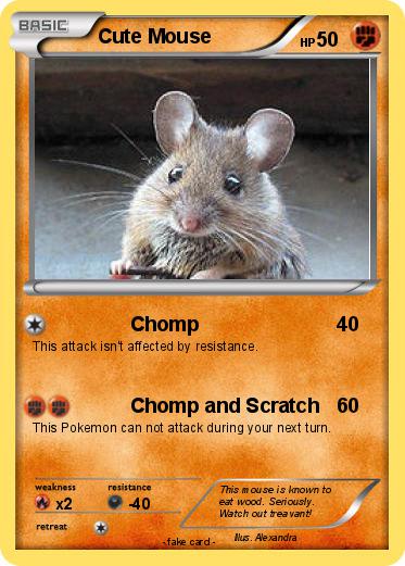 Pokemon Cute Mouse