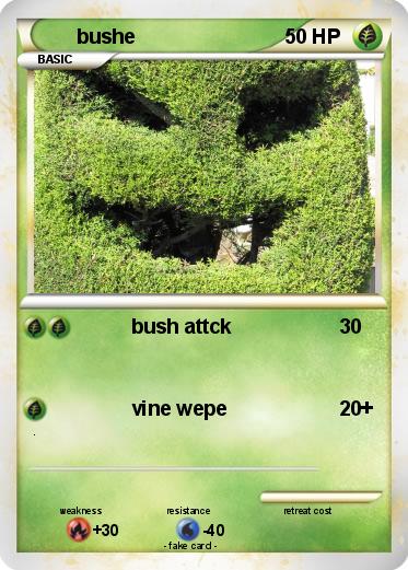 Pokemon bushe