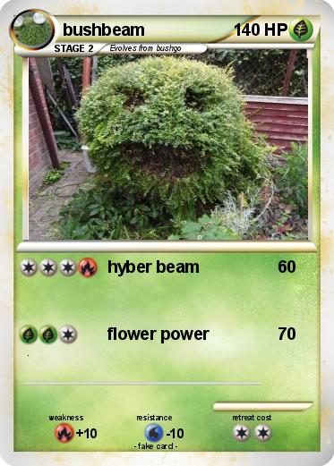 Pokemon bushbeam