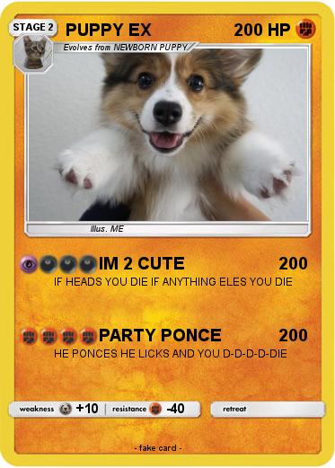 Pokemon PUPPY EX