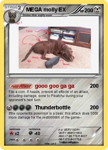 Pokemon MEGA molly EX