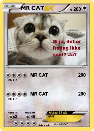 Pokemon MR CAT