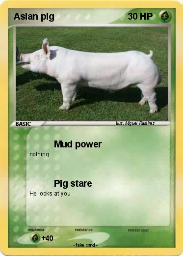 Pokemon Asian pig