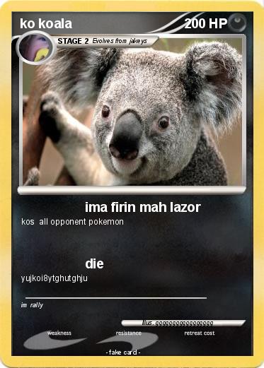 Pokemon ko koala