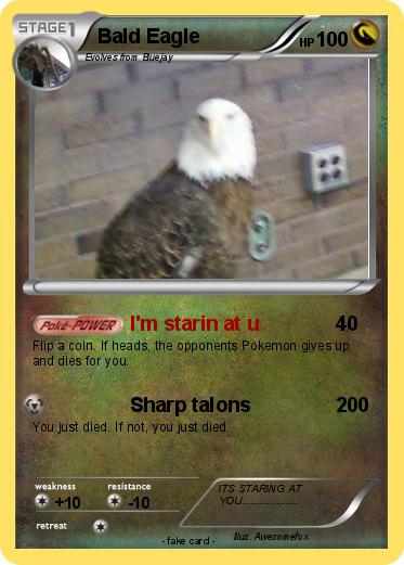 Pokemon Bald Eagle
