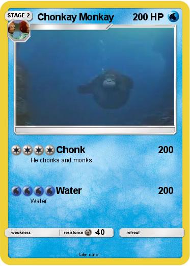 Pokemon Chonkay Monkay