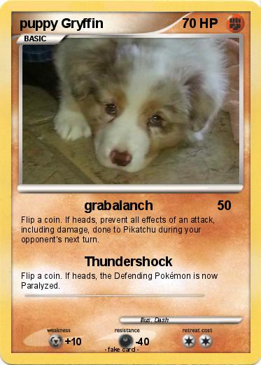 Pokemon puppy Gryffin