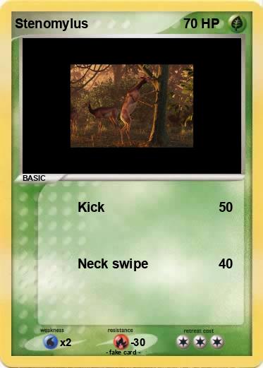 Pokemon Stenomylus