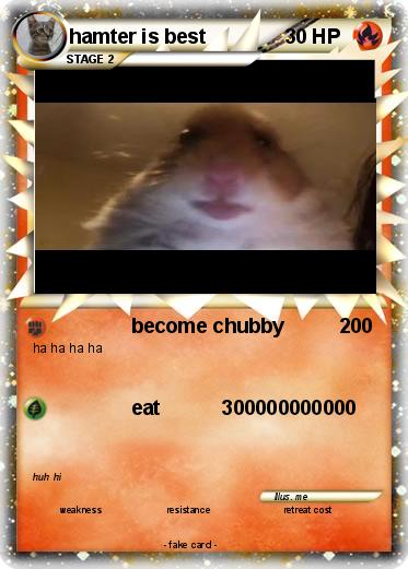 Pokemon hamter is best