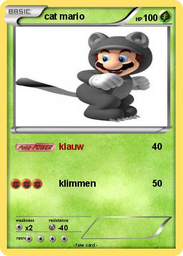 Pokemon cat mario