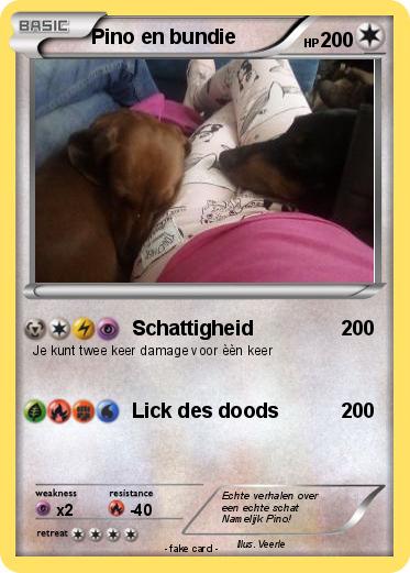 Pokemon Pino en bundie