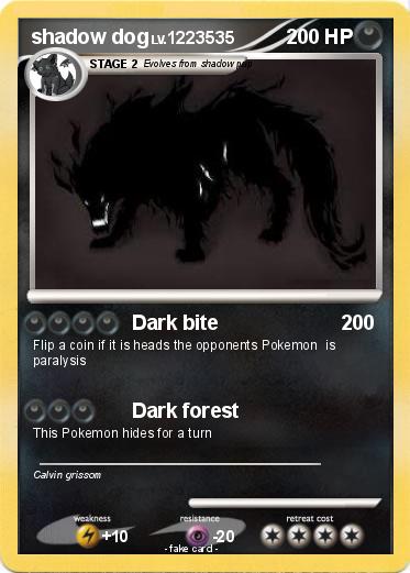 Pokemon shadow dog
