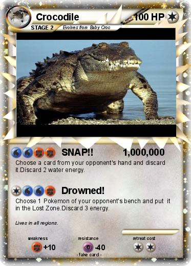 Pokemon Crocodile