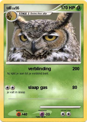 Pokemon uil