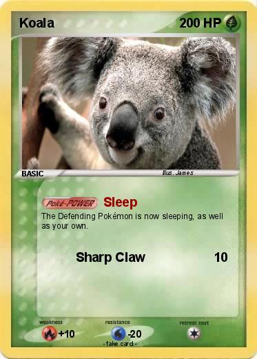 Pokemon Koala