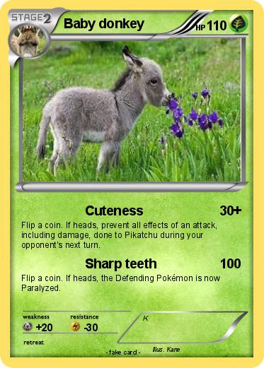 Pokemon Baby donkey
