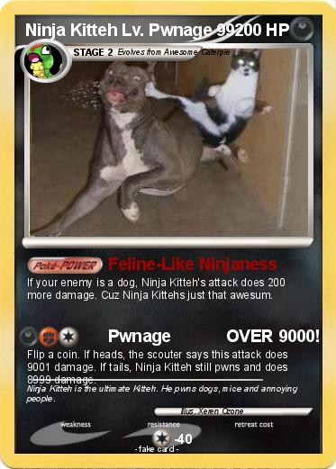 Pokemon Ninja Kitteh Lv. Pwnage 99