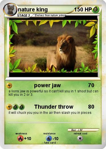 Pokemon nature king