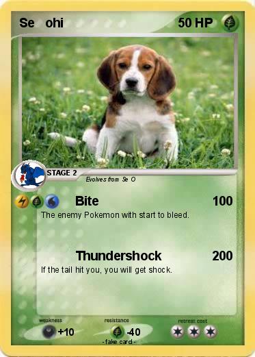 Pokemon Se   ohi