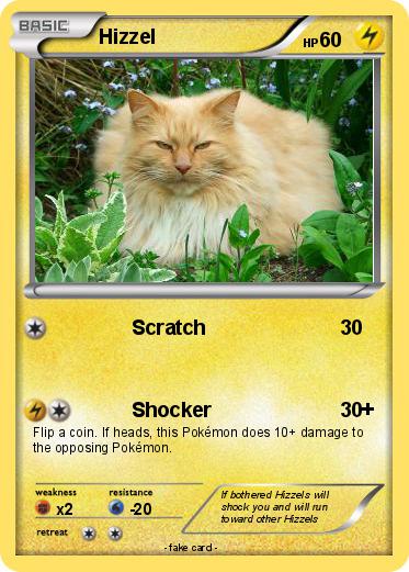 Pokemon Hizzel