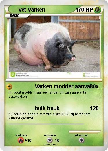 Pokemon Vet Varken