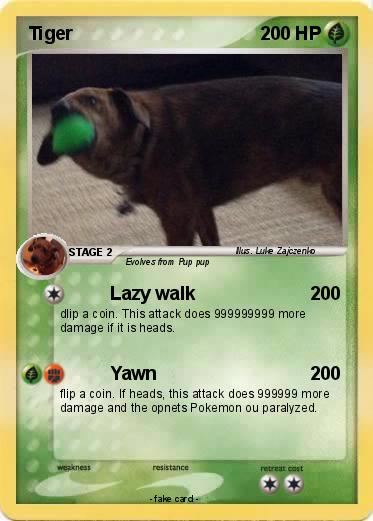 Pokemon Tiger
