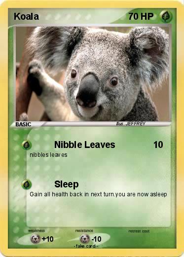 Pokemon Koala