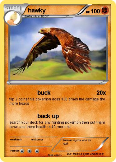 Pokemon hawky