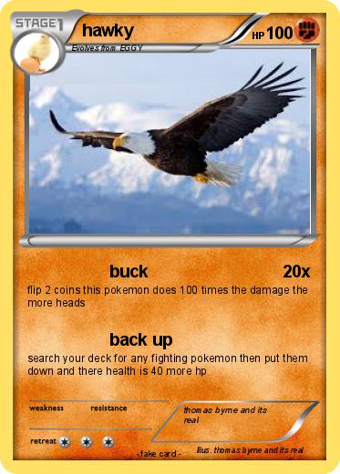 Pokemon hawky