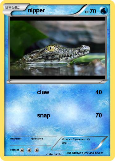Pokemon nipper