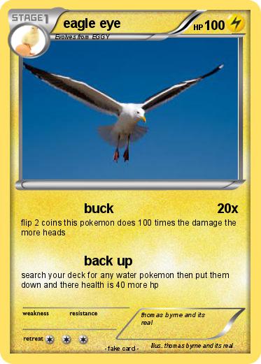 Pokemon eagle eye