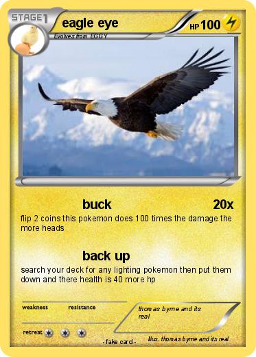 Pokemon eagle eye