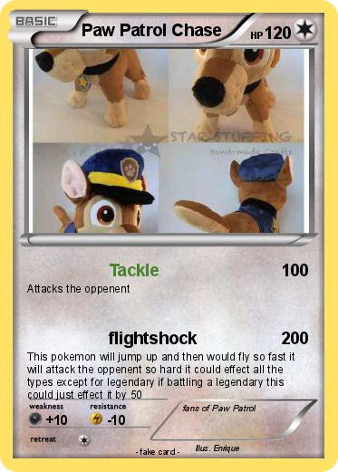 Pokemon Paw Patrol Chase