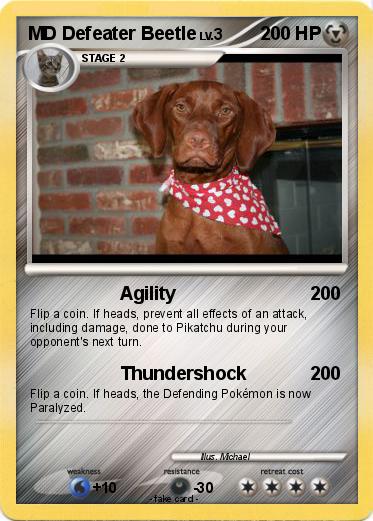 Pokemon MD Defeater Beetle