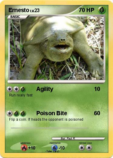 Pokemon Ernesto