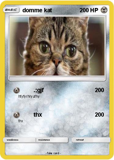 Pokemon domme kat