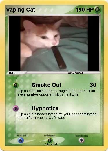 Pokemon Vaping Cat