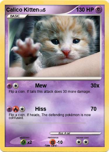 Pokemon Calico Kitten