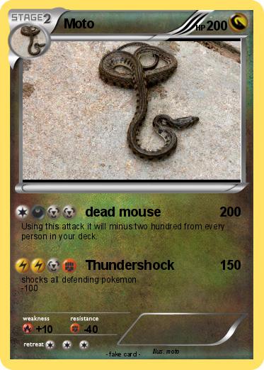 Pokemon Moto