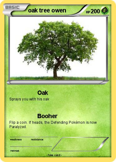 Pokemon oak tree owen