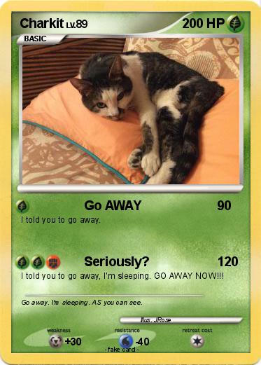 Pokemon Charkit
