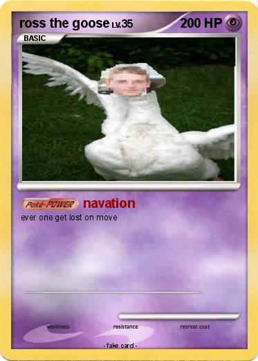 Pokemon ross the goose