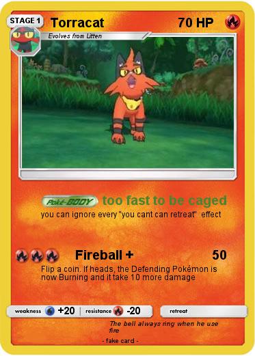 Pokemon Torracat