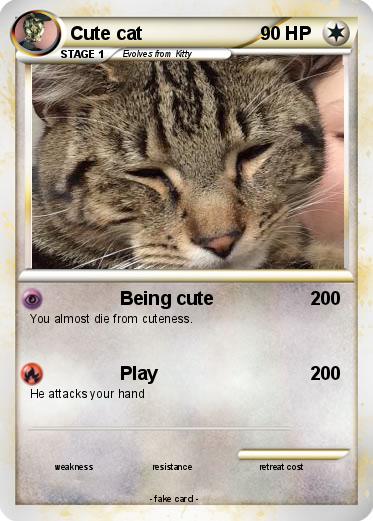 Pokemon Cute cat