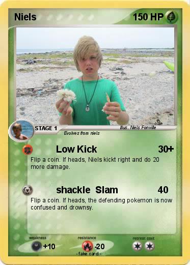 Pokemon Niels