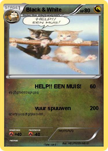 Pokemon Black & White