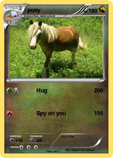 Pokemon pony
