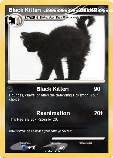 Pokemon Black Kitten
